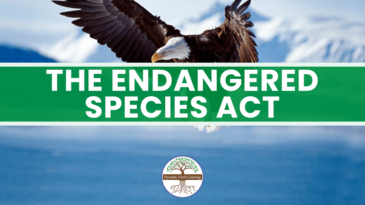 Logo:1jpmswcybo0= Endangered Species Act