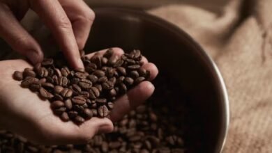 Coffee Bean