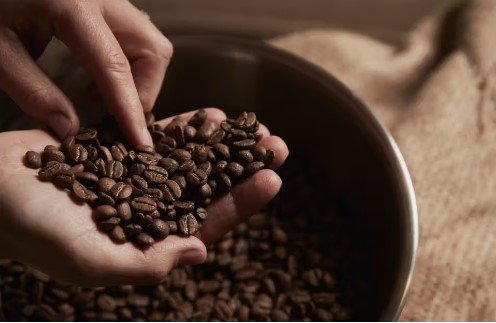 Coffee Bean