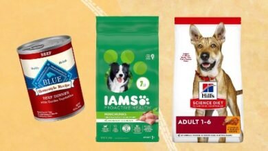 Logo:5nysvvakjo0= Dog Food Brands
