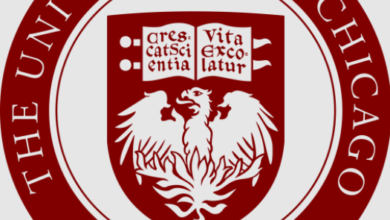Logo:86chiq0dwps= University of Chicago