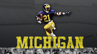 Logo:34nudidlysi= Michigan