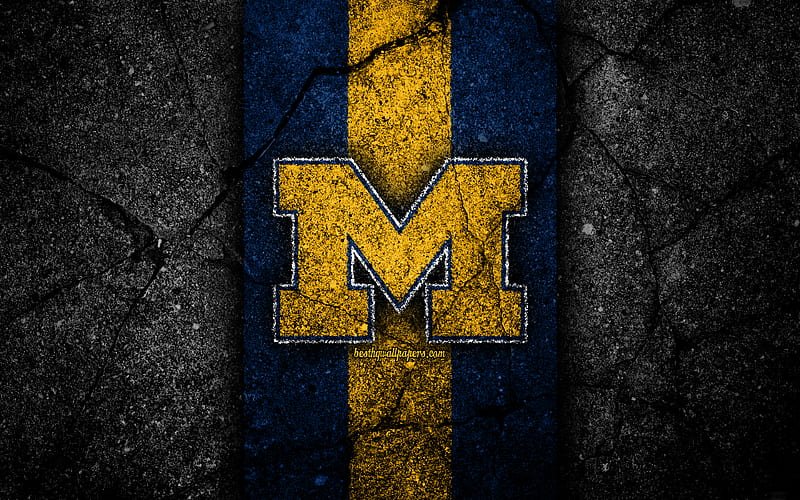 Logo:34nudidlysi= Michigan Wolverines Football