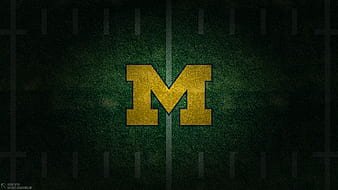 Logo:34nudidlysi= Michigan Wolverines Football