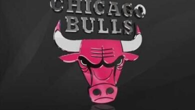 Logo:_Wrv548v0gs= Chicago Bulls