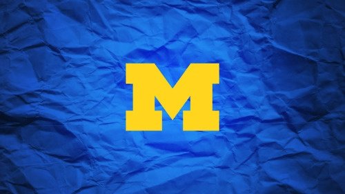 Logo:34nudidlysi= Michigan University