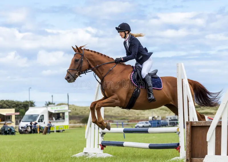 Beautiful:9rmr7xnzchw= Horses