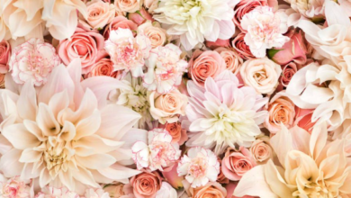 Pastel:_Tnwzdeq88i= Floral Wallpaper