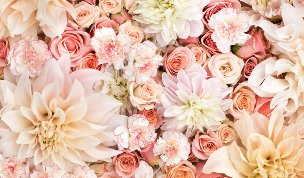 Pastel:_Tnwzdeq88i= Floral Wallpaper