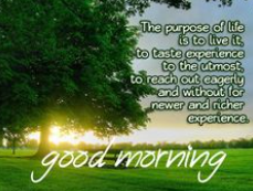 Beautiful:546nqus0pqu= Positive Good Morning Quotes