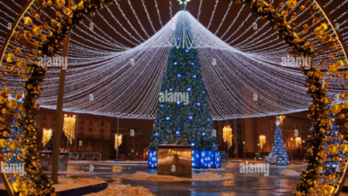 Beautiful:9960luomaw0= Christmas Tree