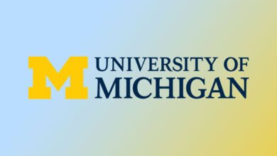 Logo:34nudidlysi= Michigan University