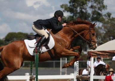 Beautiful:9rmr7xnzchw= Horses