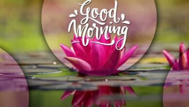 Beautiful:0f80uo0phyw= Special Good Morning Images
