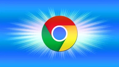 90.150.204 Chrome: IP Access via Chrome Browser