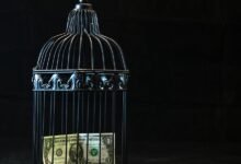 telecom security risk numbers