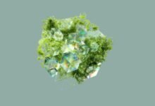 operational data integrity overview