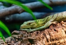 pattern integrity verification log