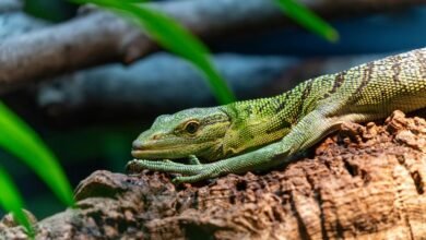 pattern integrity verification log